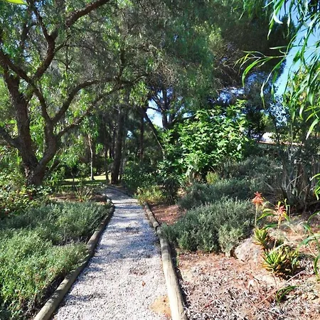 Violeta Villa Almancil